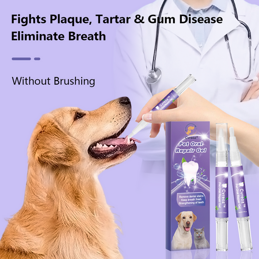 Mundpflege für Haustiere