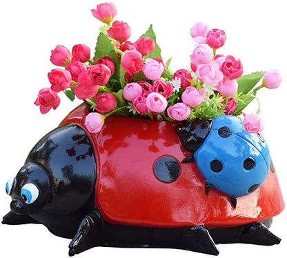 Ladybug Bloom | Charmante lieveheersbeestjespot voor je tuin