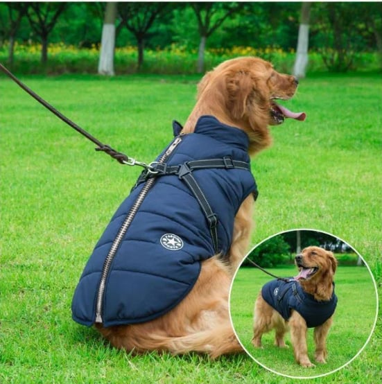 Waterproof Winter Coat for Dogs