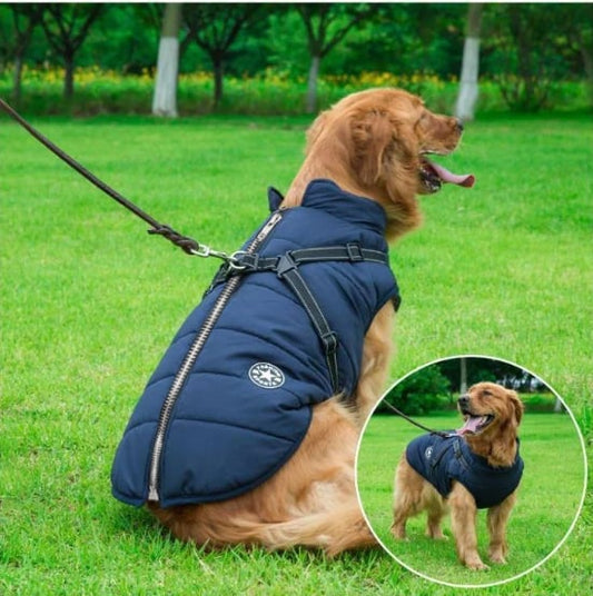 Manteau d’hiver imperméable pour chiens