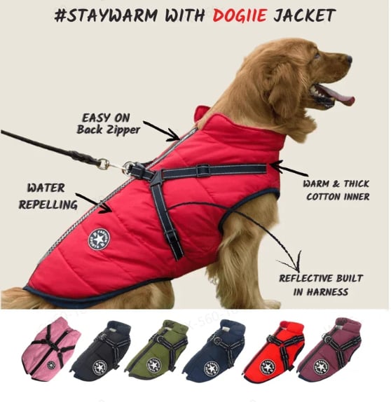 Waterproof Winter Coat for Dogs