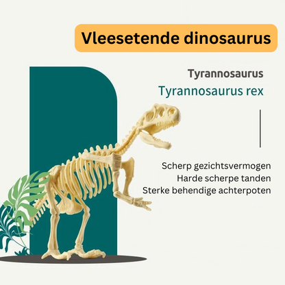 Opgravingsset voor dinosaurusfossielen