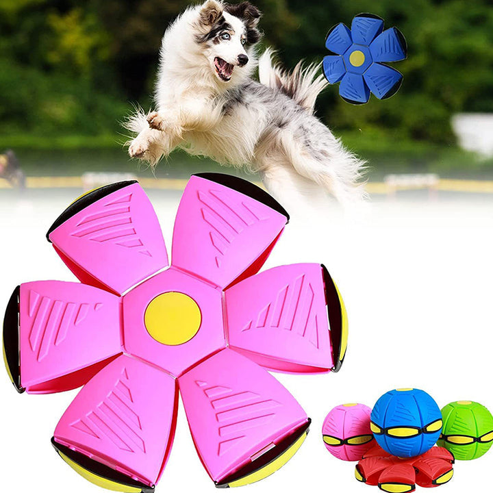 Pet Outdoor Toy Fly Ball