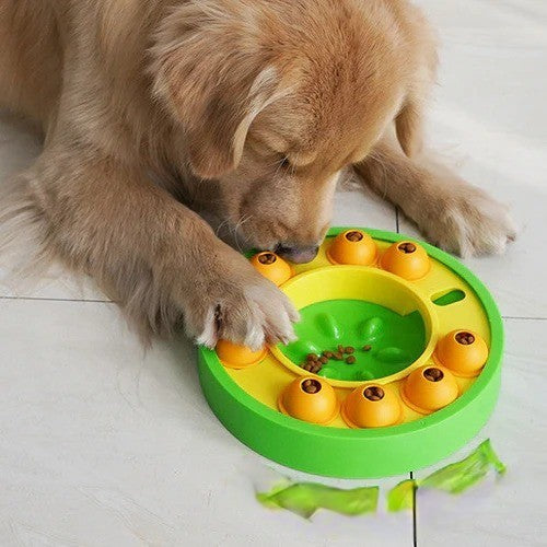 Kæledyr langsom feeder Interaktivt legetøj
