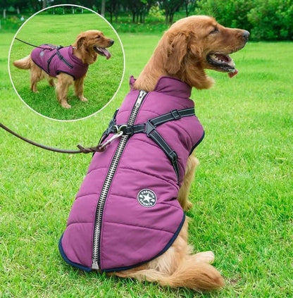 Waterproof Winter Coat for Dogs