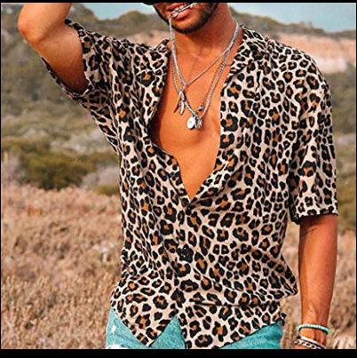 Men Leopard Print V-neck