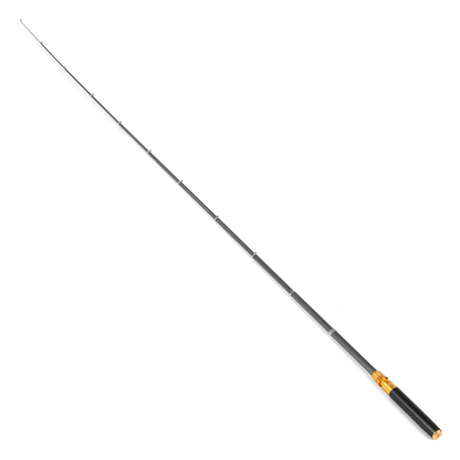 Pen Fishing Rod