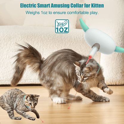 Interactive Laser Cat Collar