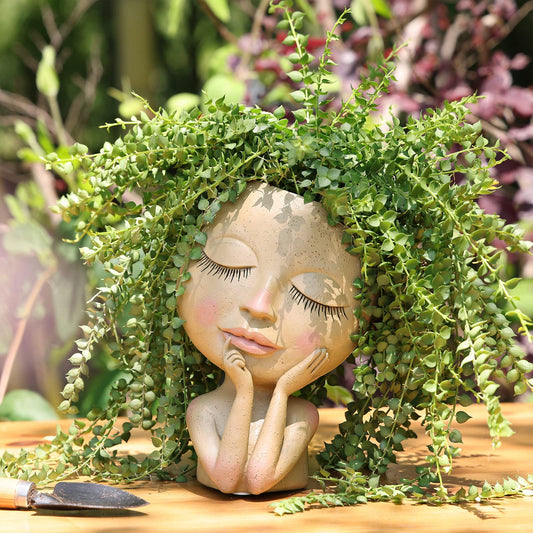 Face Head Planter Succulent