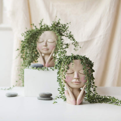 Face Head Planter Succulent
