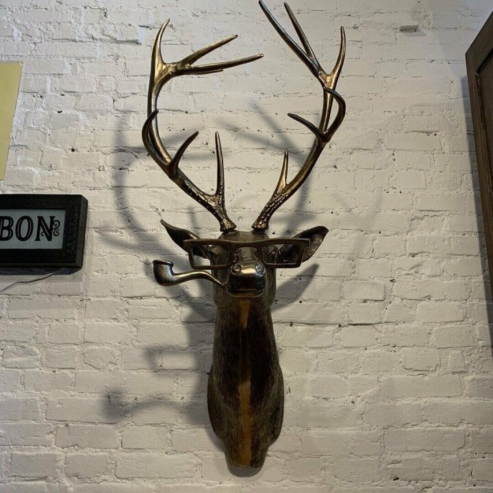 Stag Wall Display