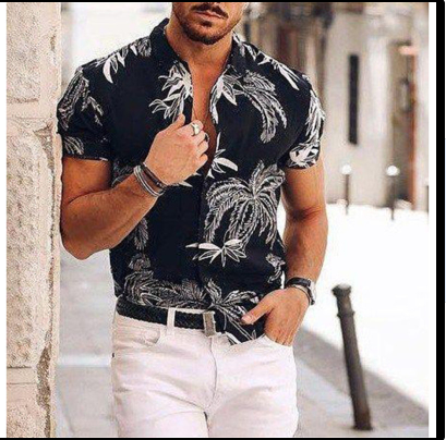 Hawaiian Shirt Man Print